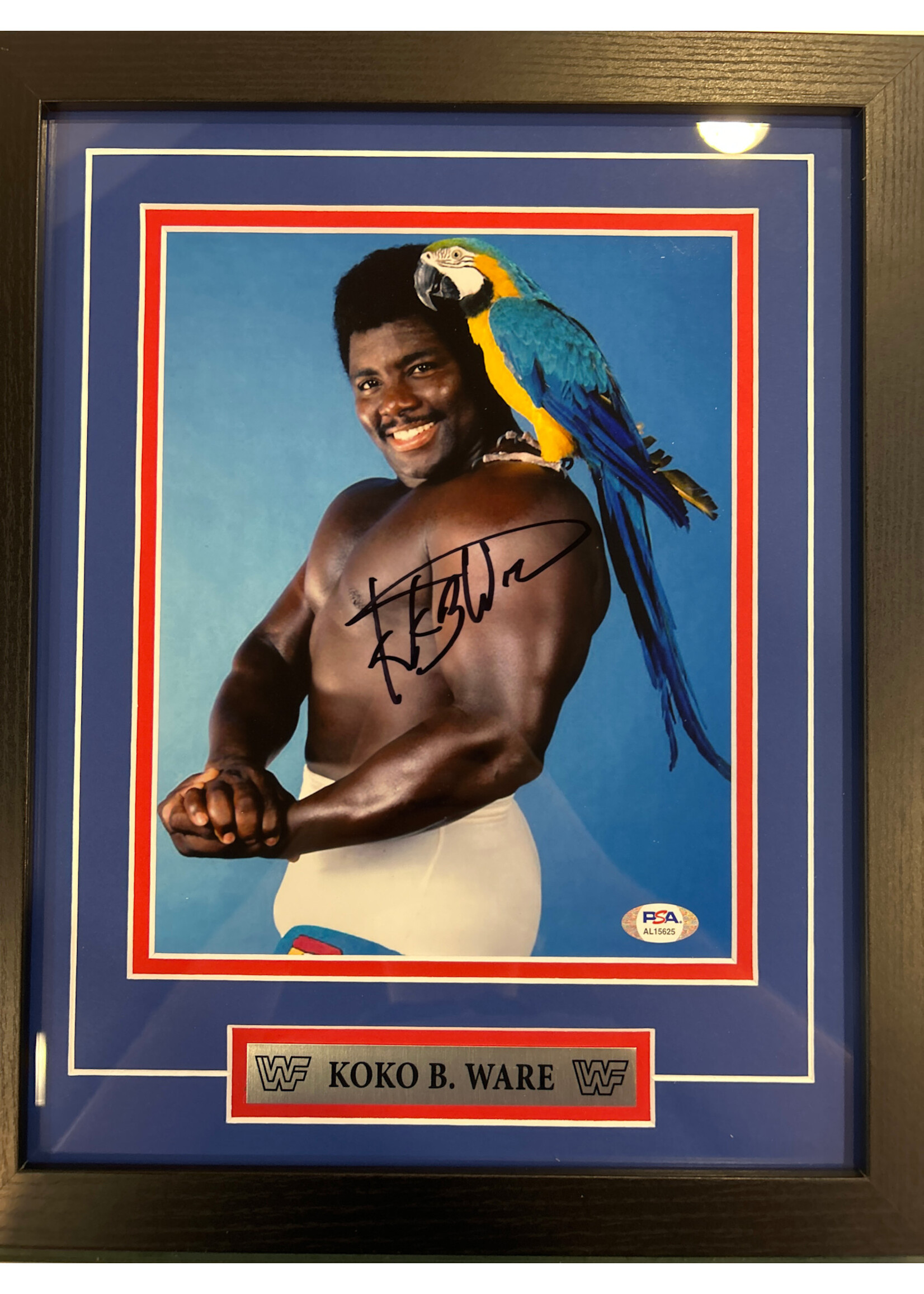 Picture Koko B Ware 8x10