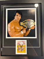 Picture Ricky Steamboat Cut