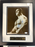 Picture Bruno Sammartino 8x10