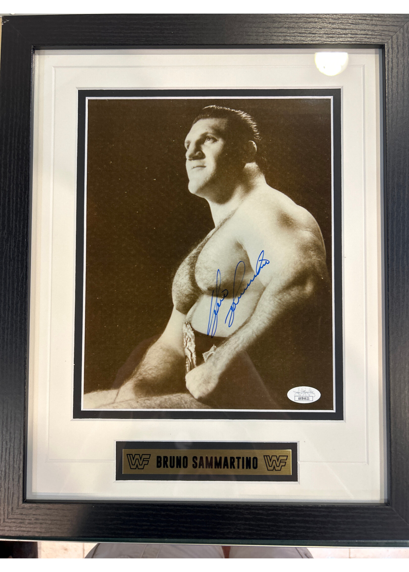 Picture Bruno Sammartino 8x10