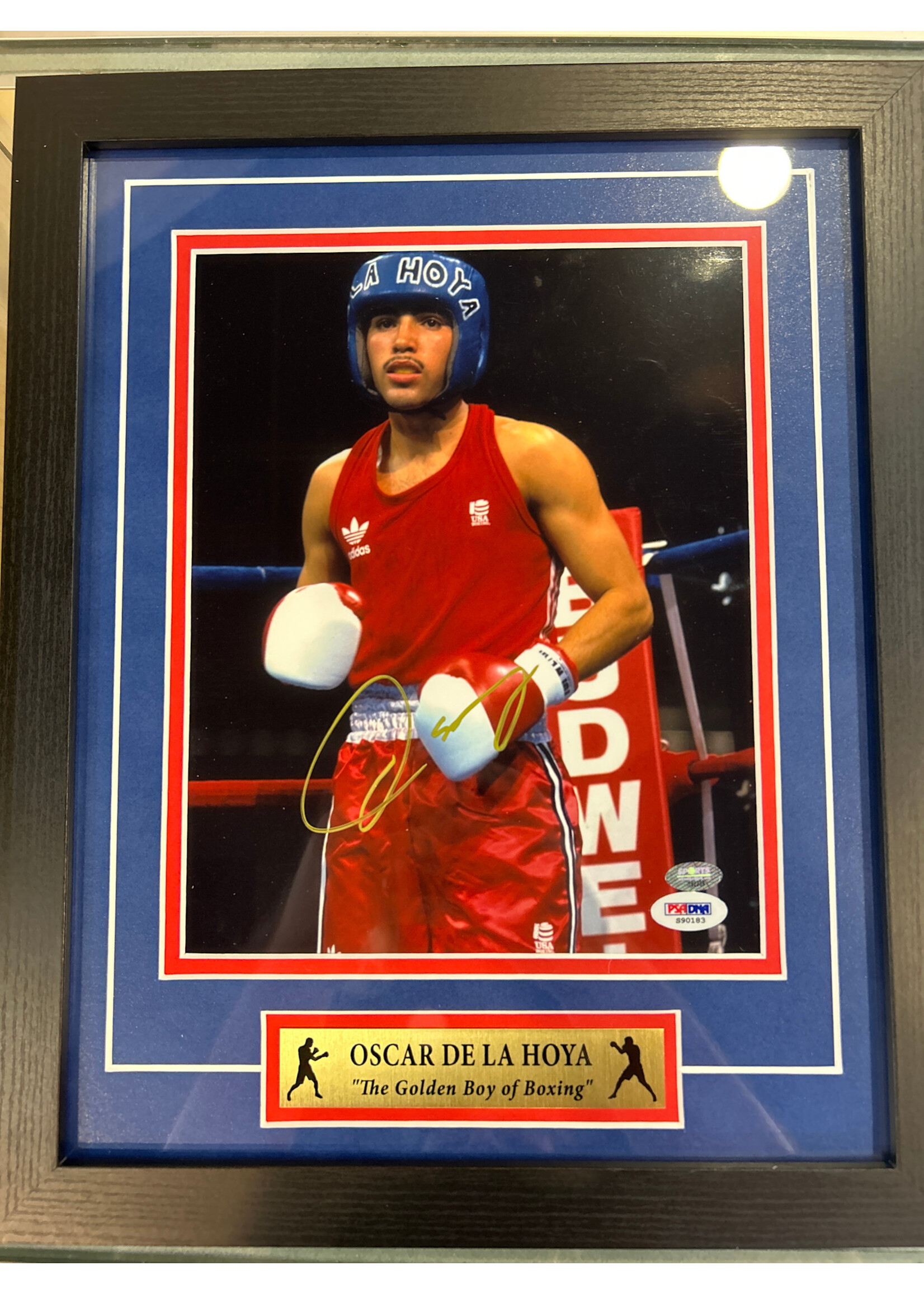 Picture Oscar De La Hoya 8x10