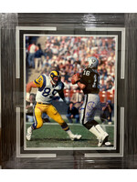 Jim Plunkett 16x20 B