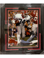 Herschel Walker 16x20 A
