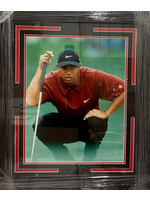 Tiger Woods 16x20 NS
