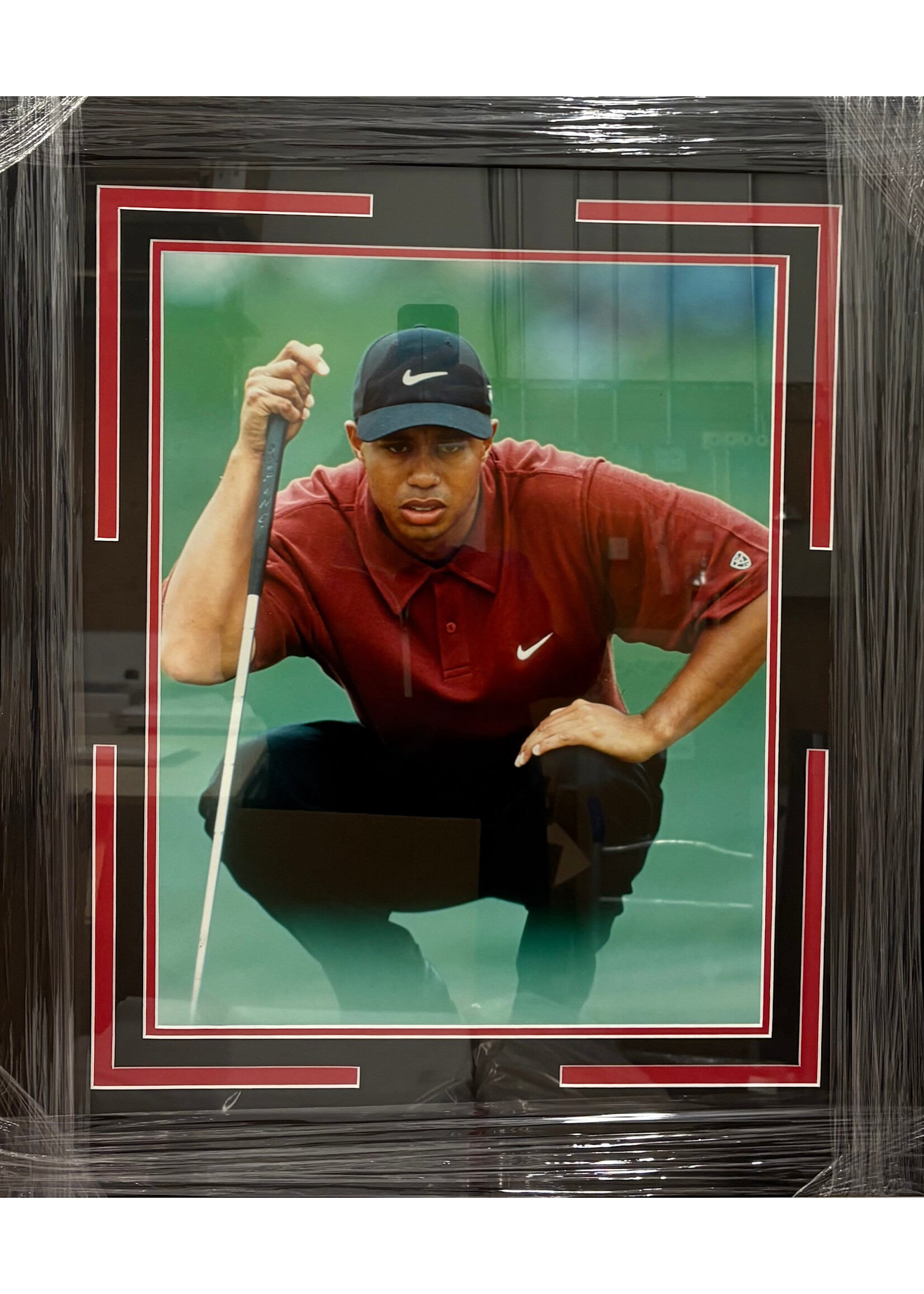 Tiger Woods 16x20 NS