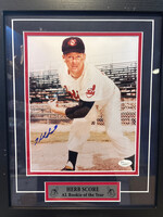 Picture Herb Score 8x10