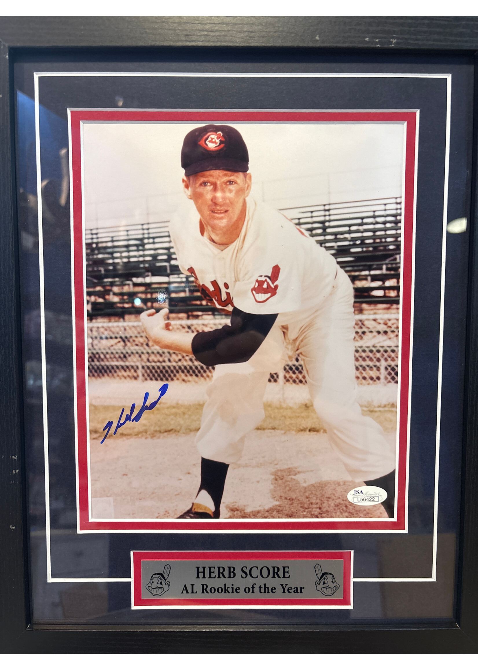 Picture Herb Score 8x10