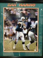 Dan Marino 16x20