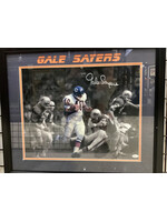 Picture Gale Sayers 16x20