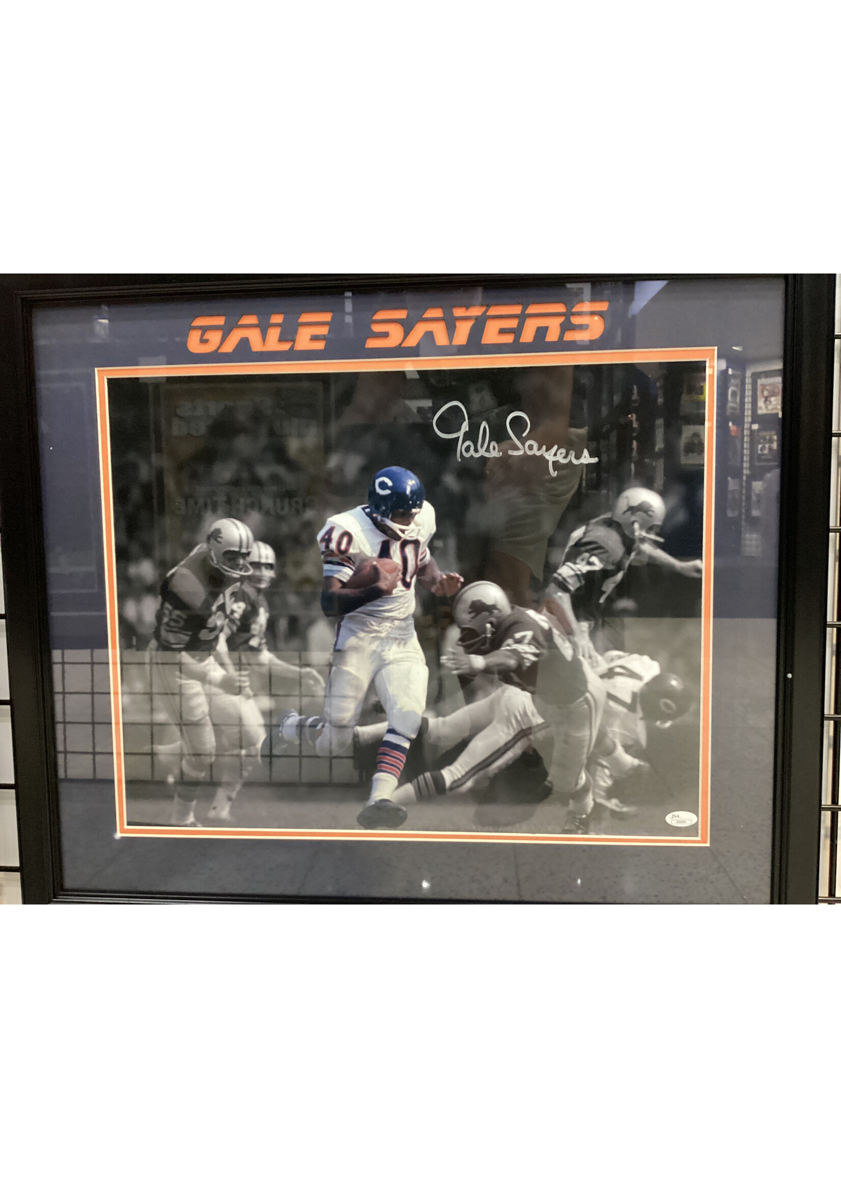 Gale Sayers 16x20