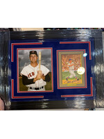 Carl Yastrzemski Perez Steele