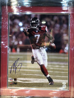Picture Michael Vick 16x20