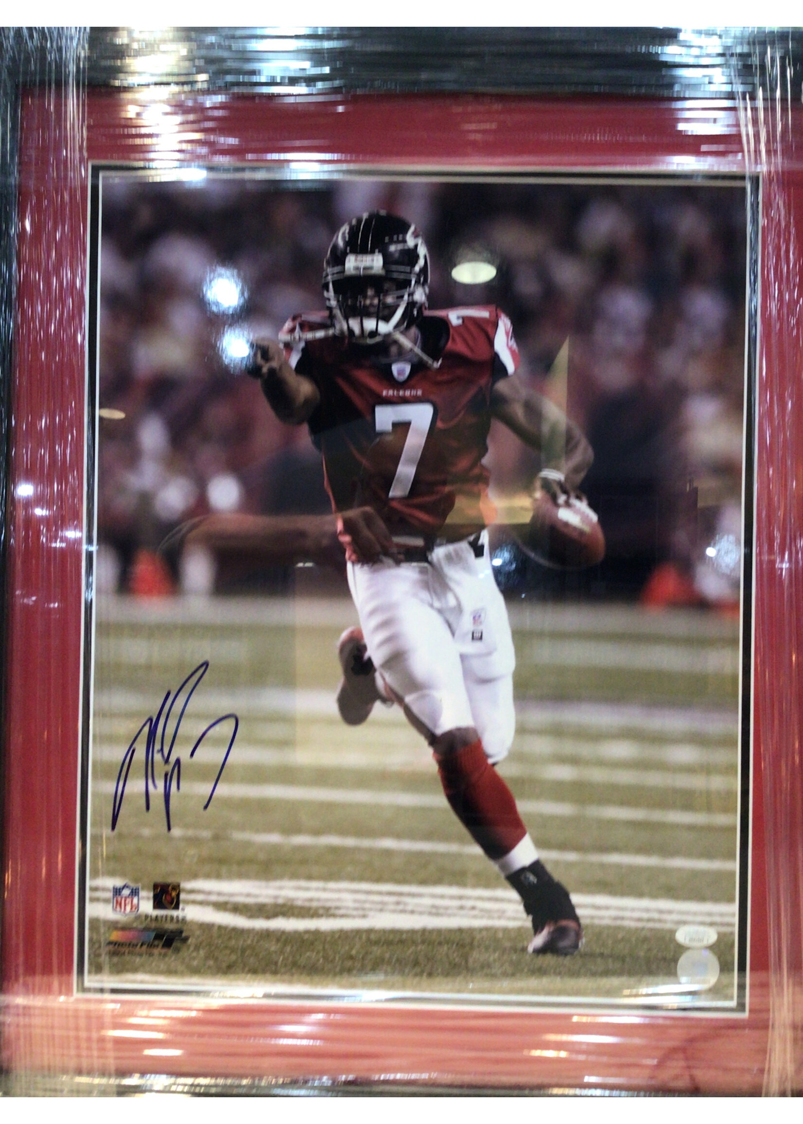 Picture Michael Vick 16x20