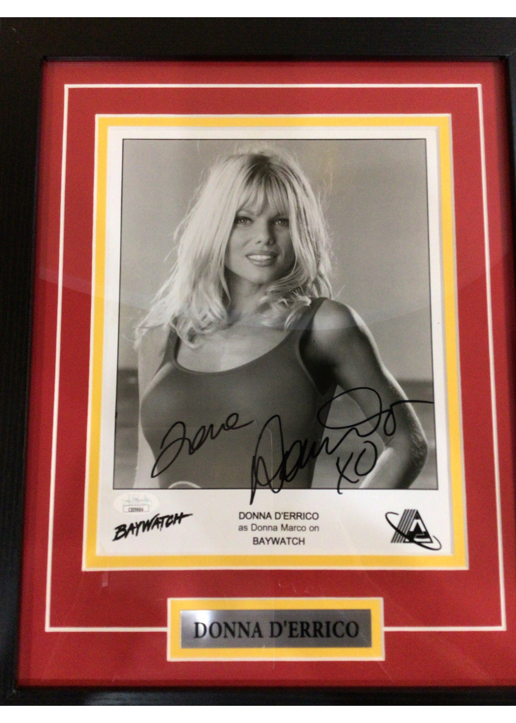 Picture Donna D'Errico 8x10