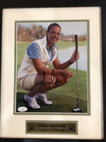 Annika Sorenstam 8x10 B