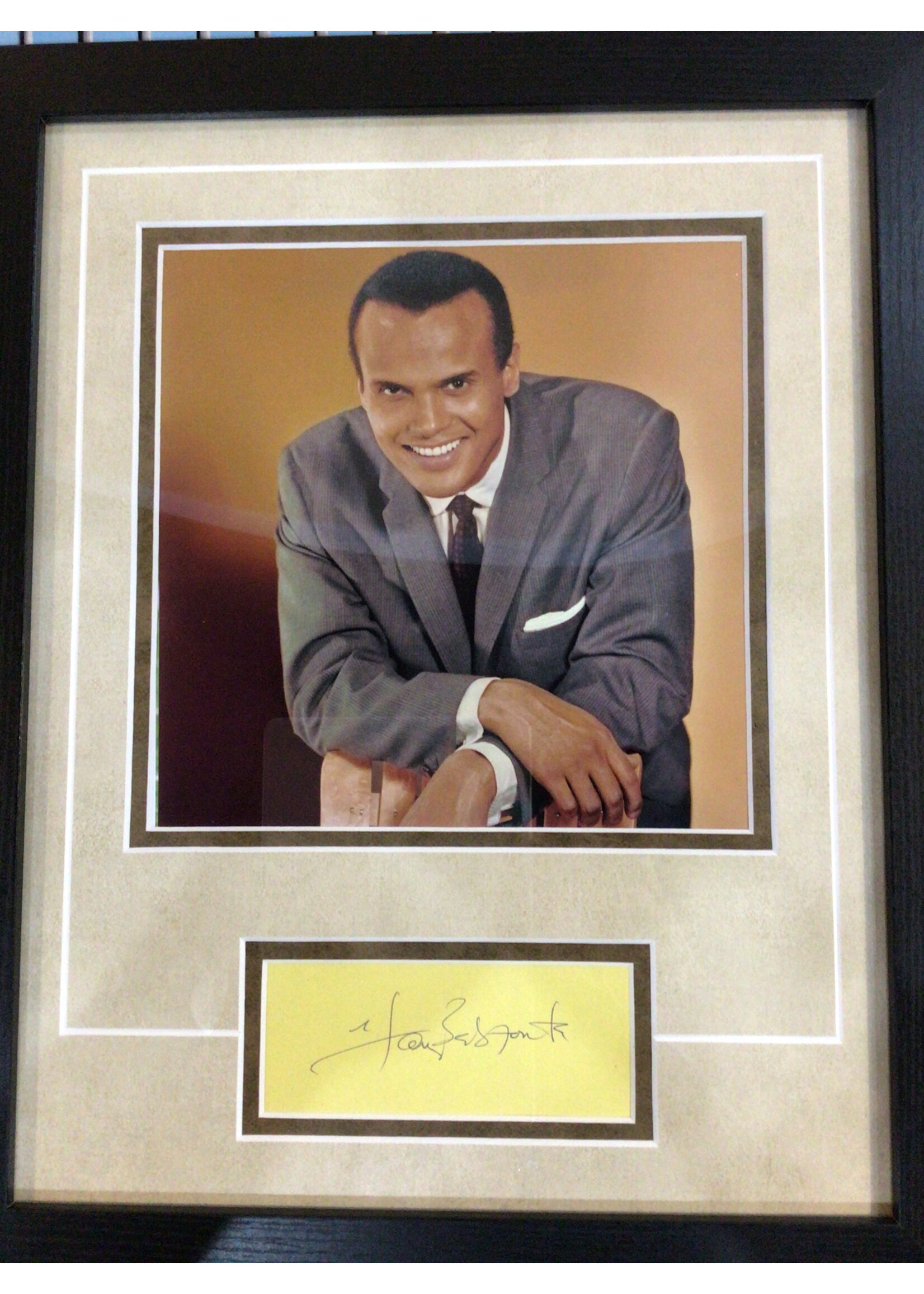 Picture Harry Belafonte Cut