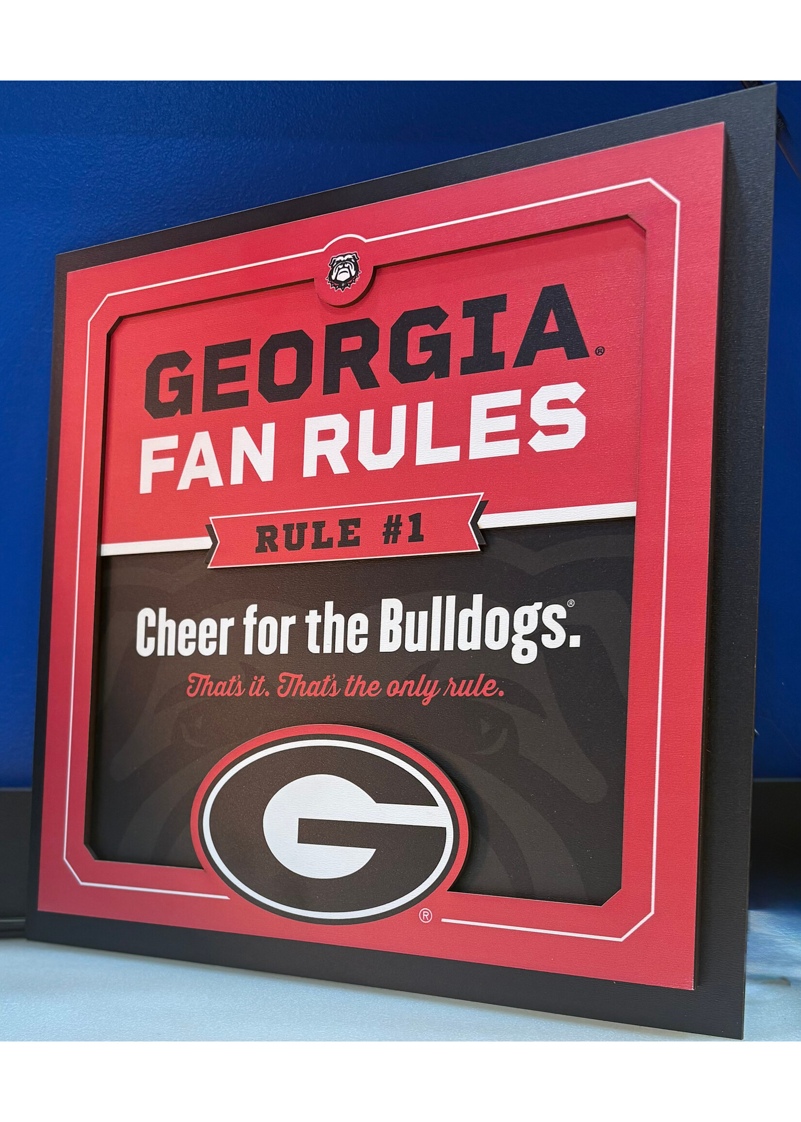 Georgia Fan 12x12 Wall Art