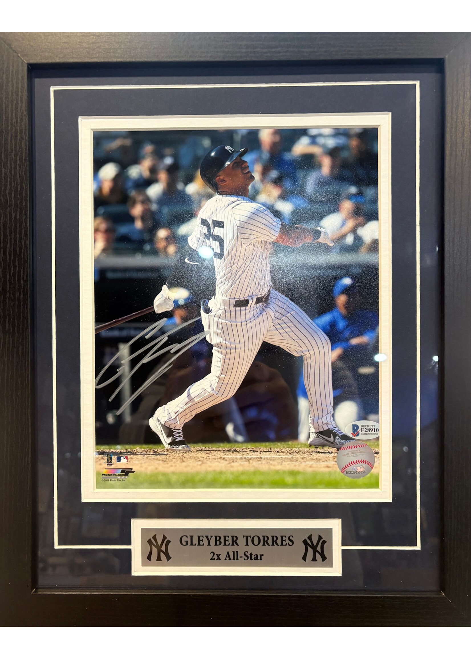 Gleyber Torres 8x10