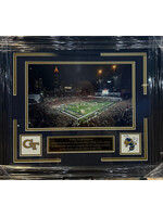 Bobby Dodd Stadium 8x14