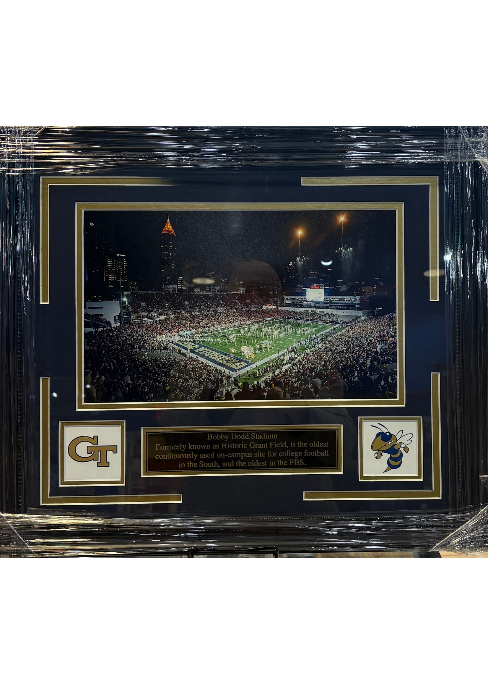 Picture Bobby Dodd Stadium 8x14