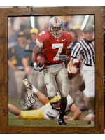 Picture Ted Ginn Jr 16x20