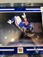 Picture Cam Skattebo 16x20