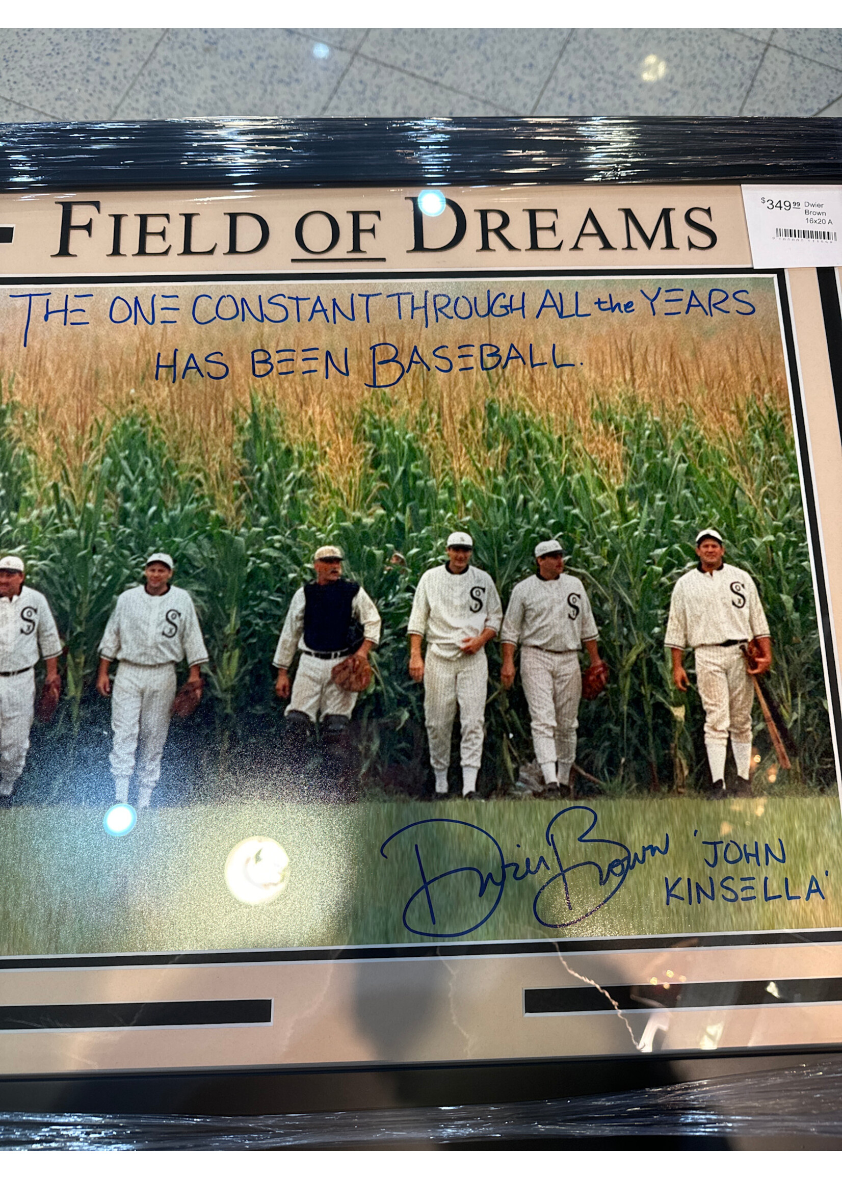 Picture Dwier Brown 16x20 A