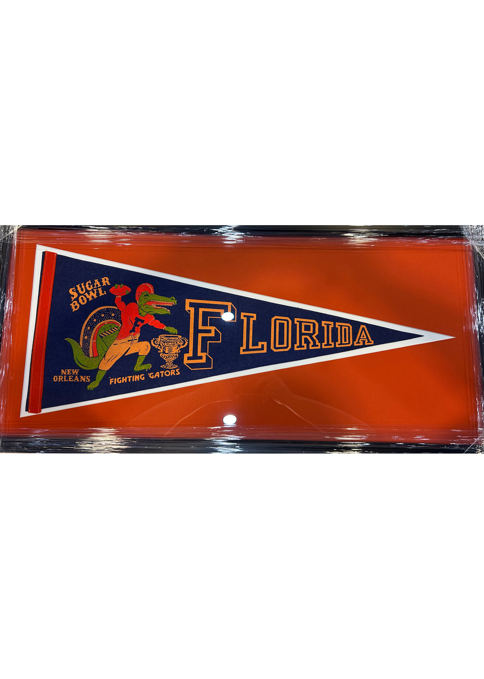 Pennant (F & UF) Florida 1974 SB Pennant