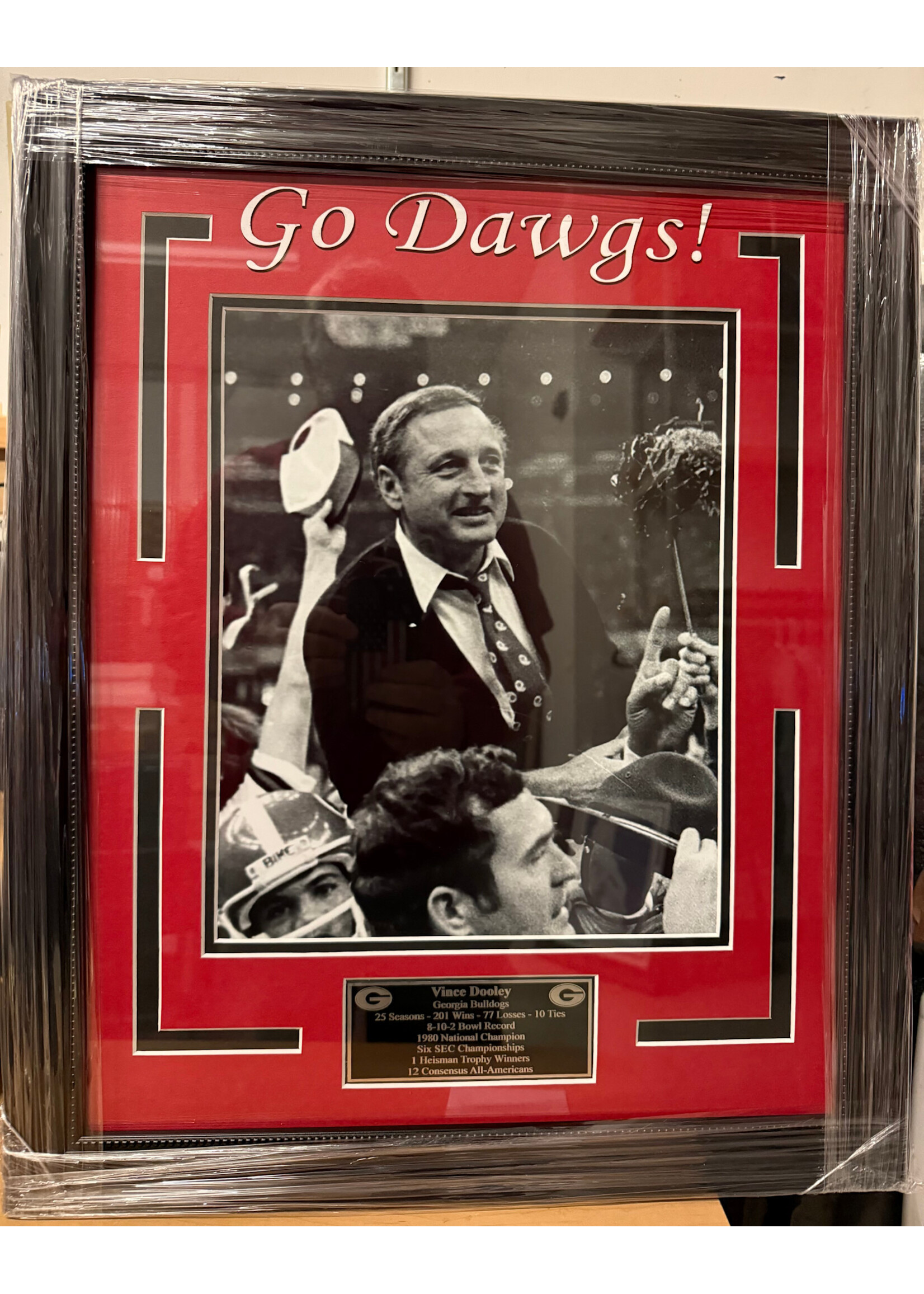 Vince Dooley Collage NS