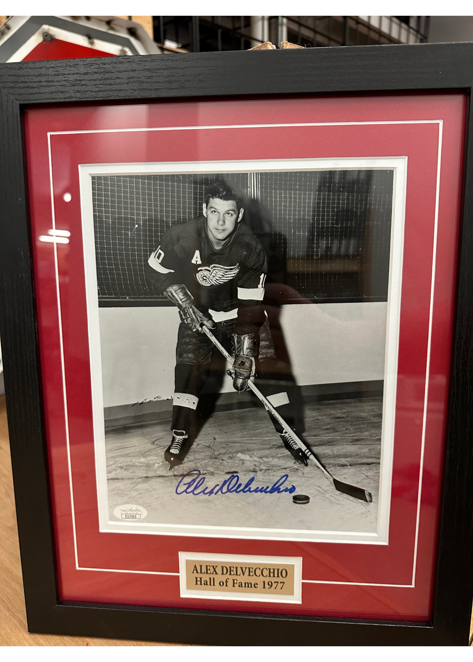 Picture Alex Delvecchio 8x10