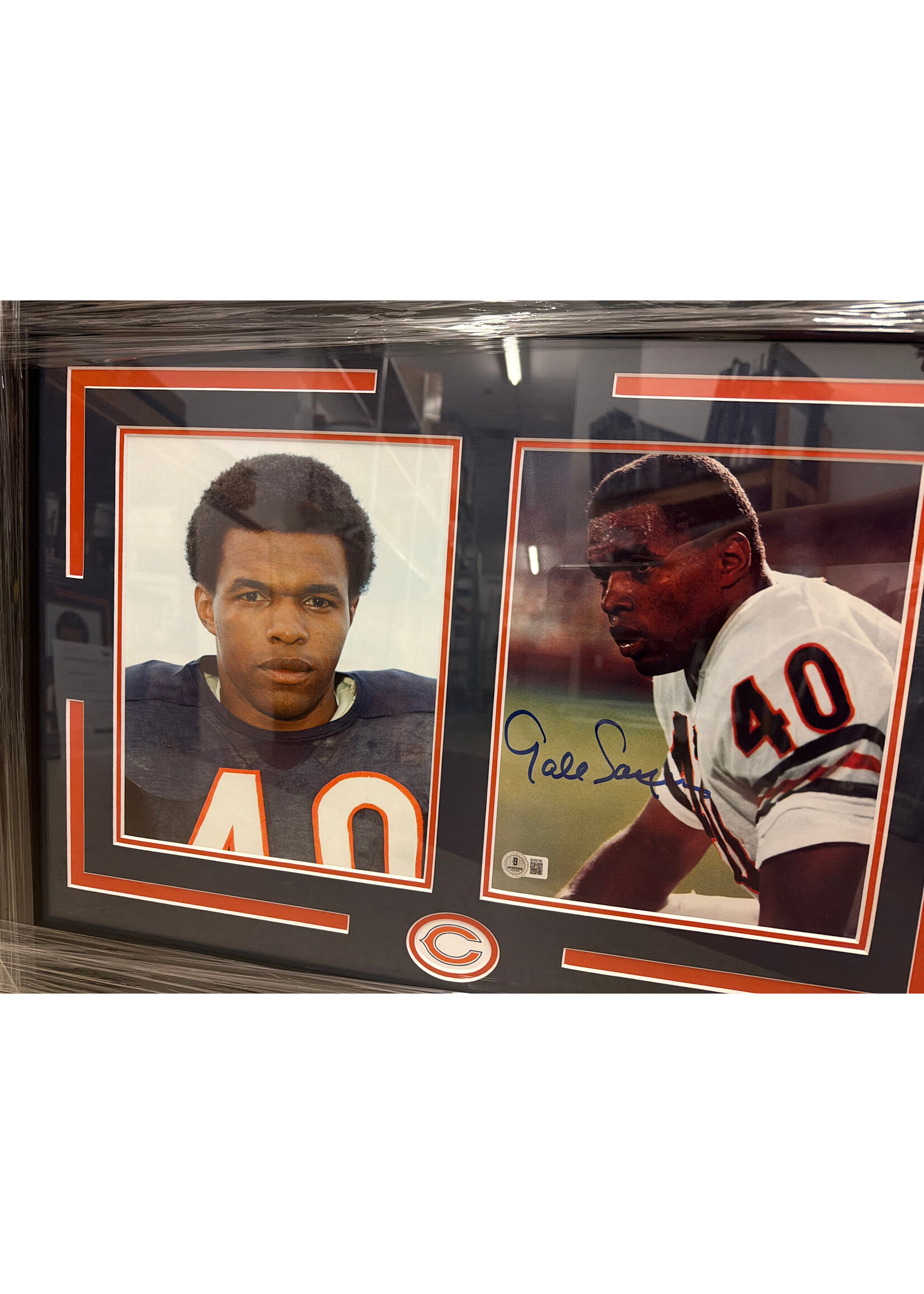 Picture Gale Sayers 8x10 D