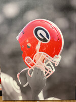 Picture Georgia Football Canvas