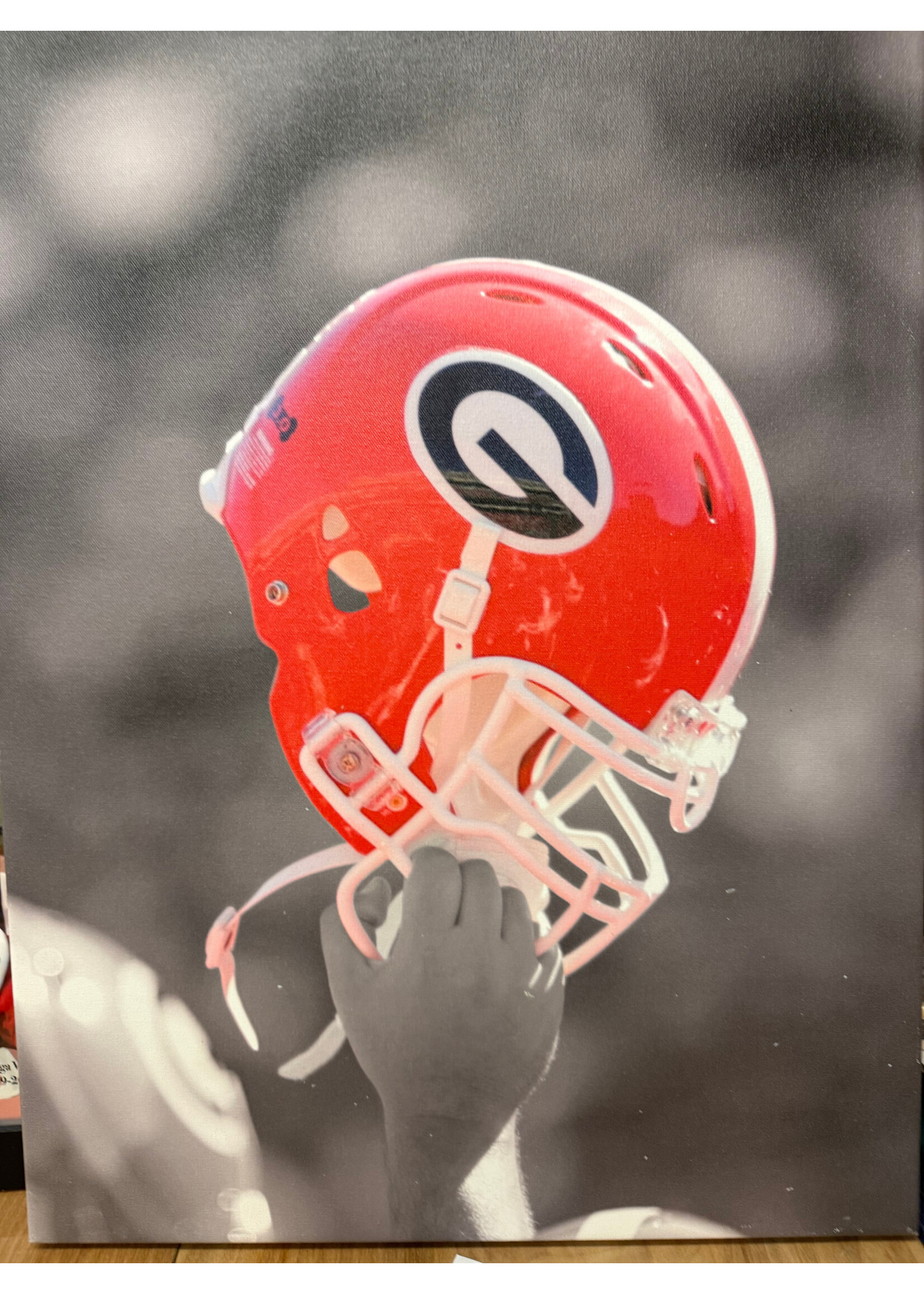 Picture Georgia Football Canvas