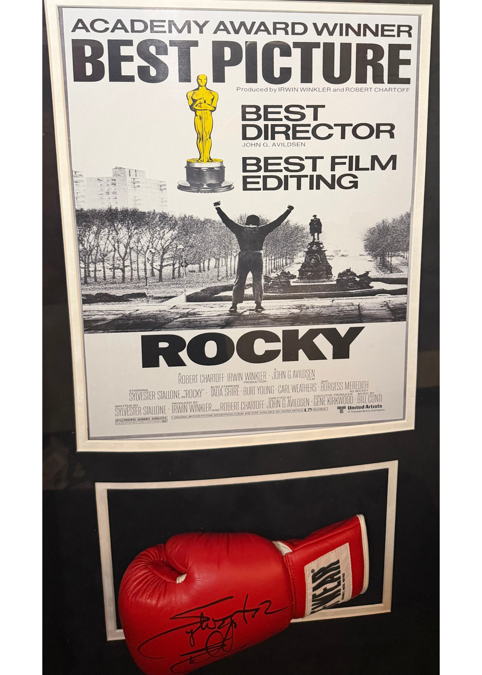 Picture Sylvester Stallone Glove A