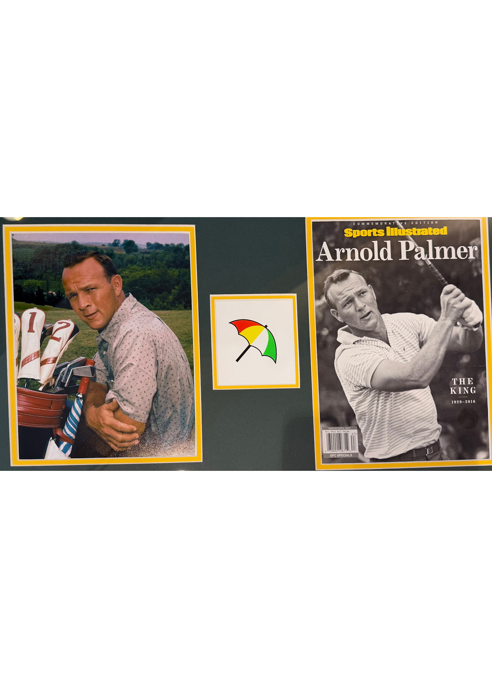Picture 2016 SI Arnold Palmer B