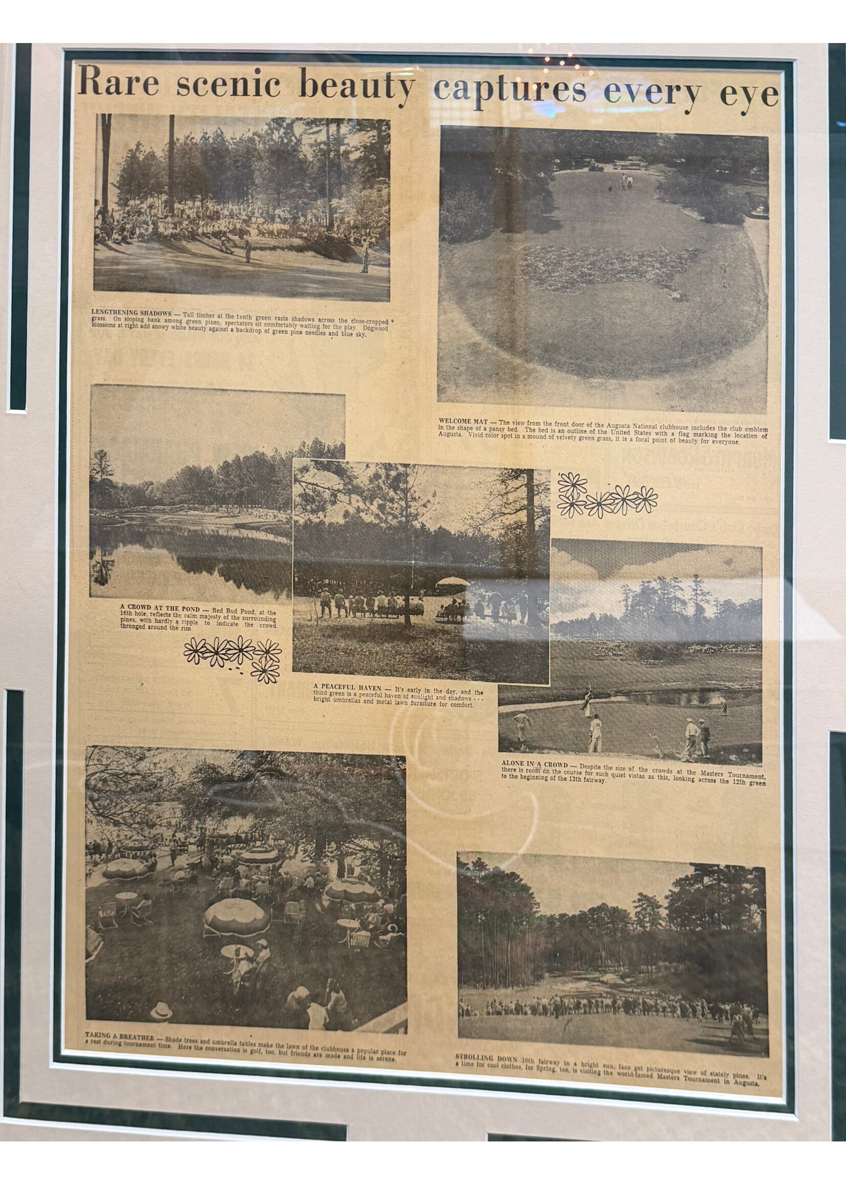 Picture 1955 Masters Newspaper