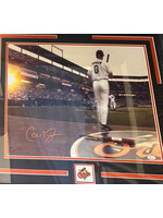Picture Cal Ripken 16x20 C