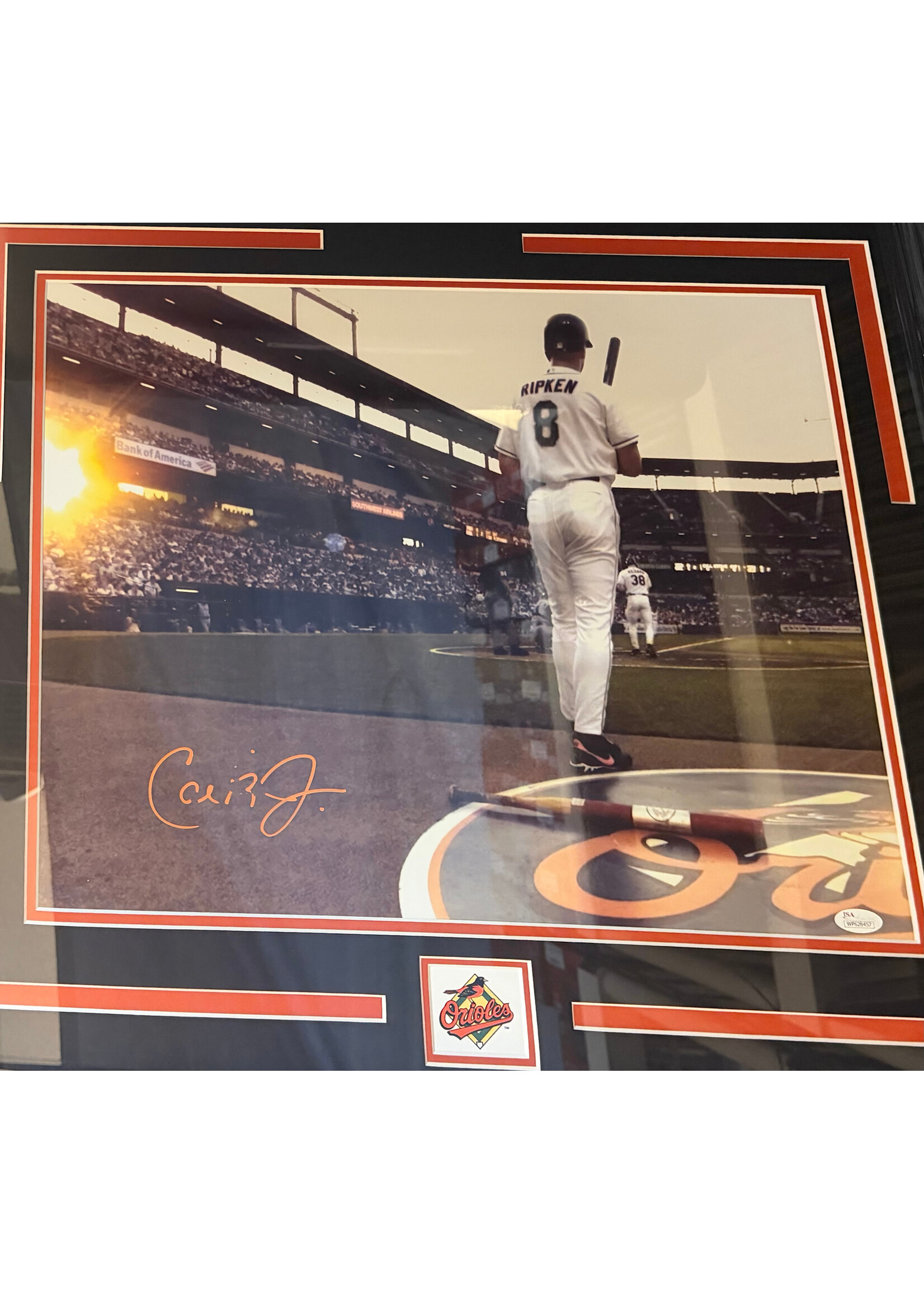 Picture Cal Ripken 16x20 C