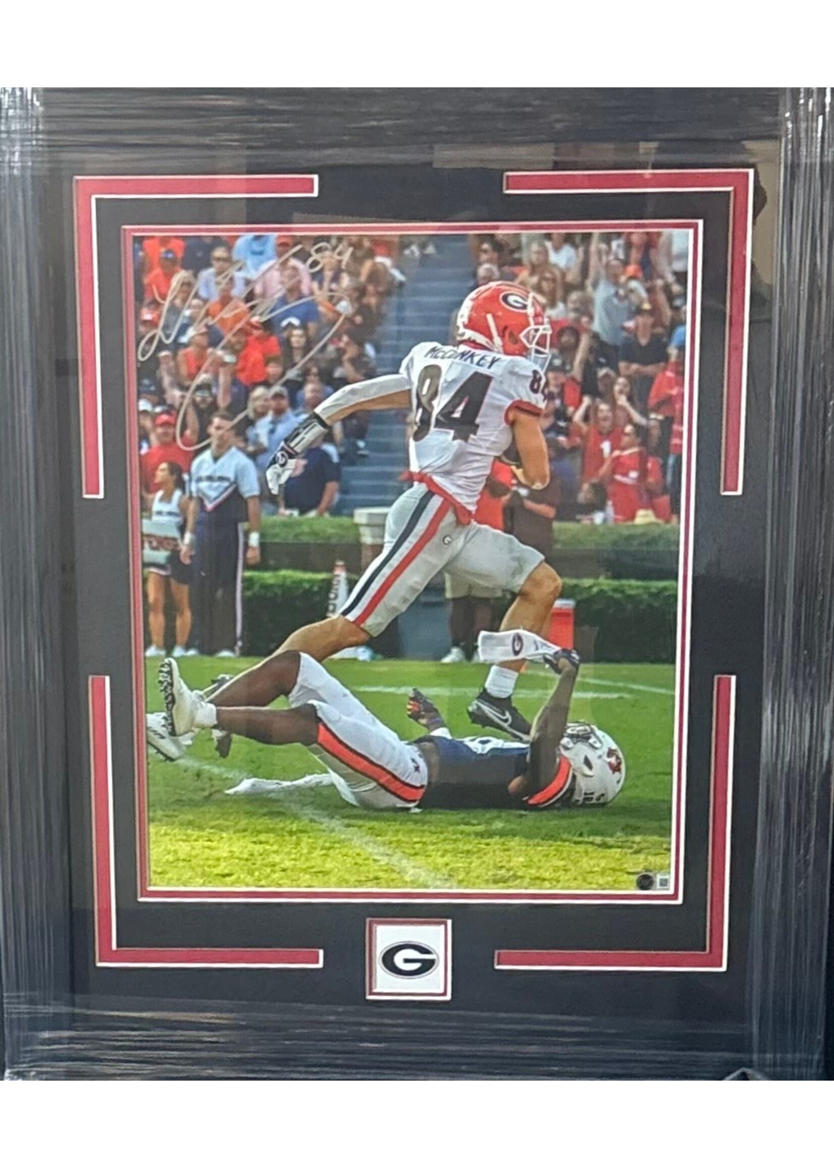 Picture Ladd McConkey 16x20