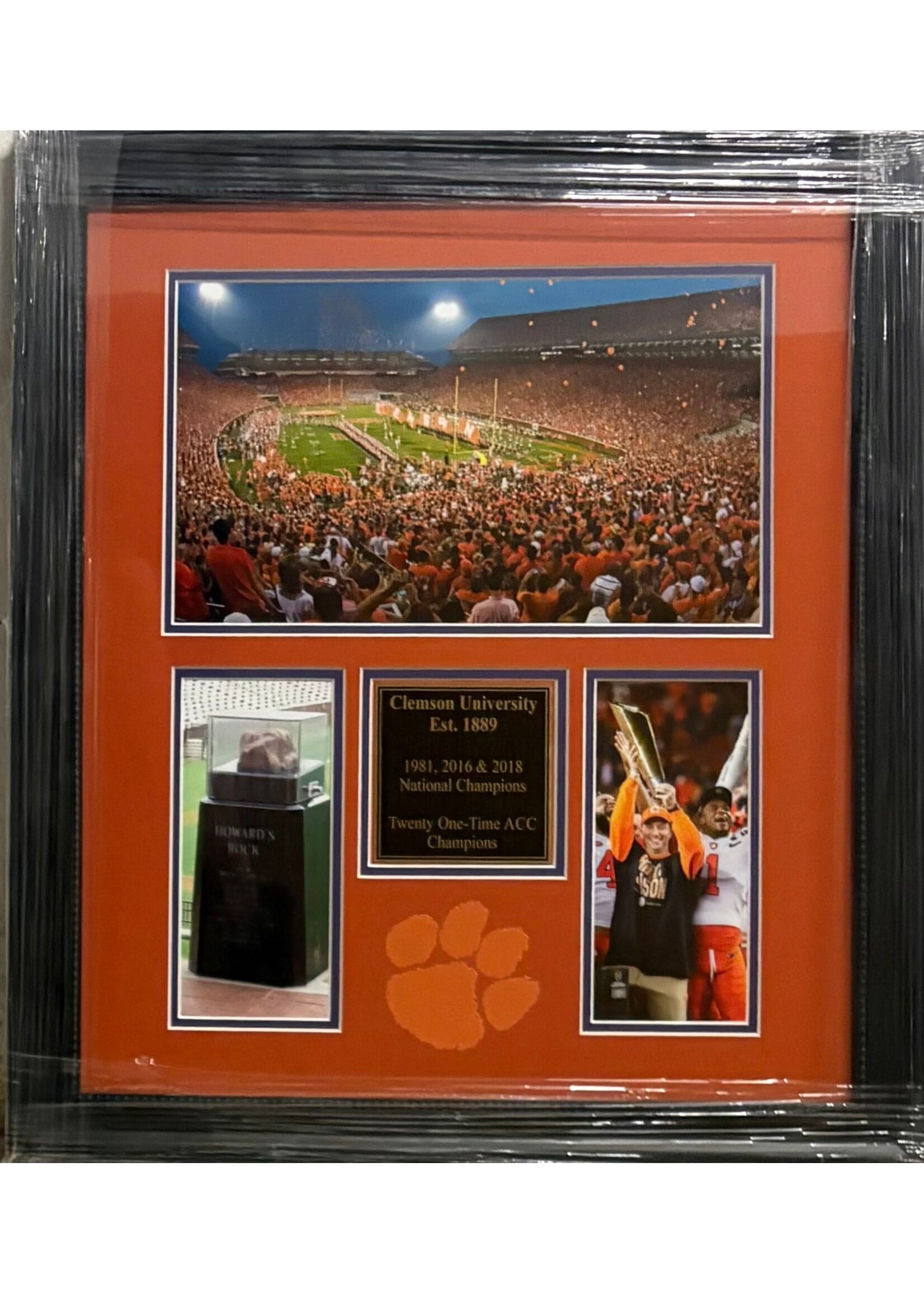 Picture Clemson Established