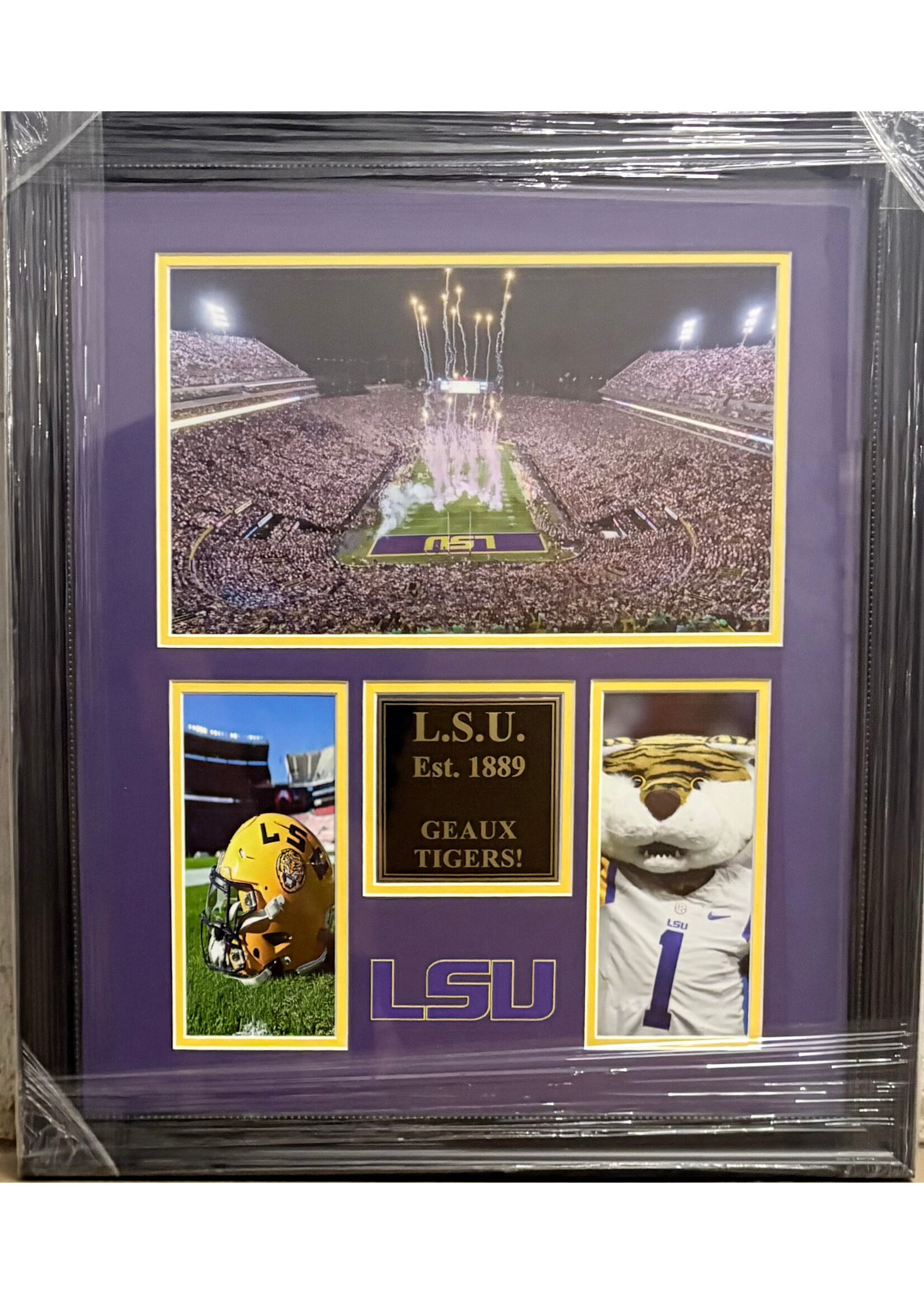 Picture LSU Established