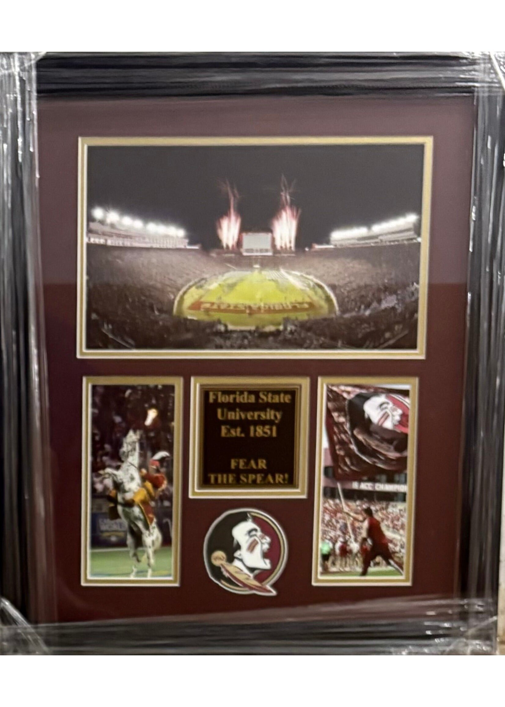 Picture Florida State Established