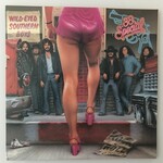 38 Special - Wild-Eyed Southern Boys - Vinyl LP (USED)