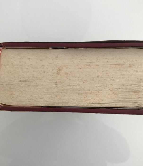 Stephen King - Omnibus: The Shining/'Salem's Lot/Night Shift/Carrie - Hardback (USED)