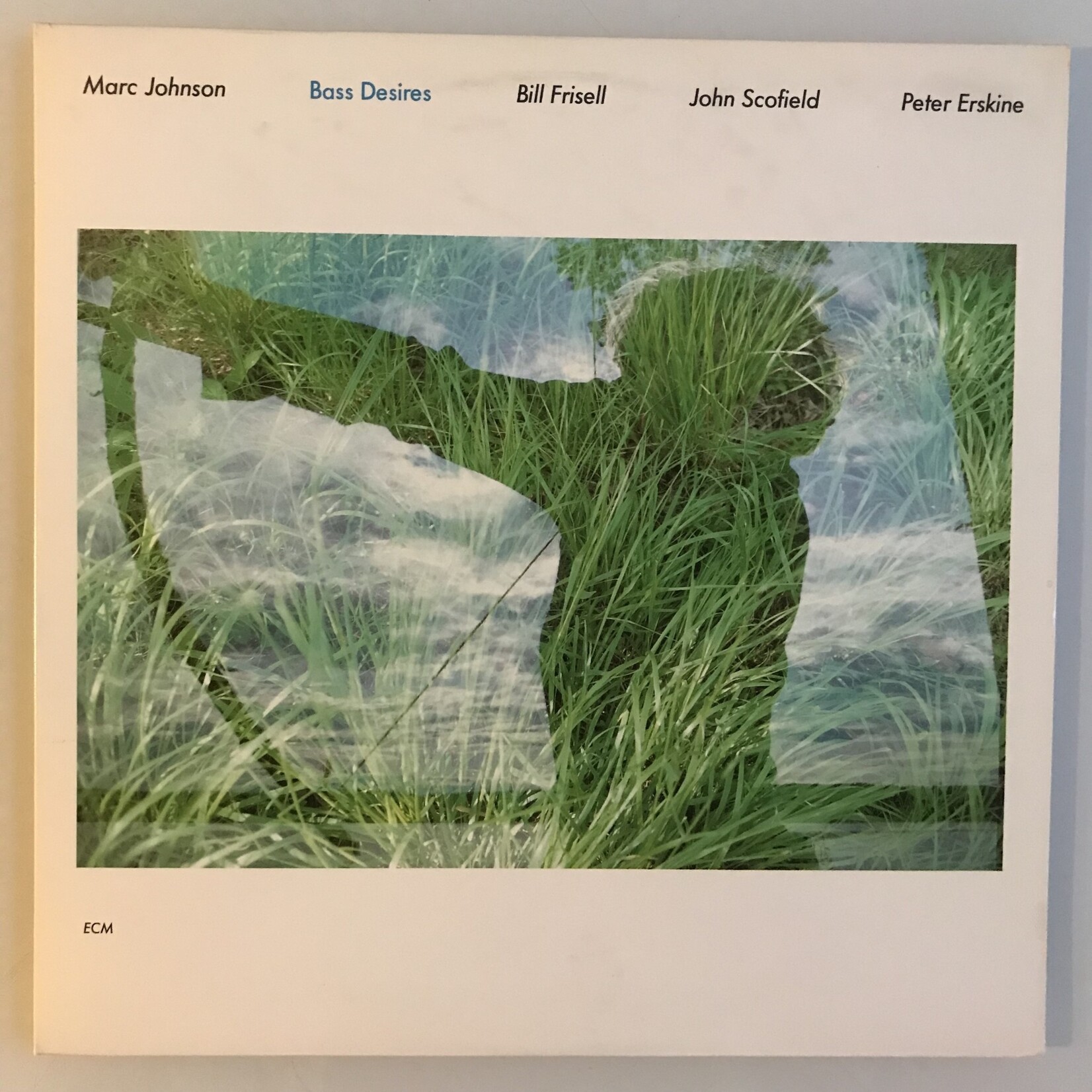 Marc Johnson - Bass Desires - Vinyl LP (USED)
