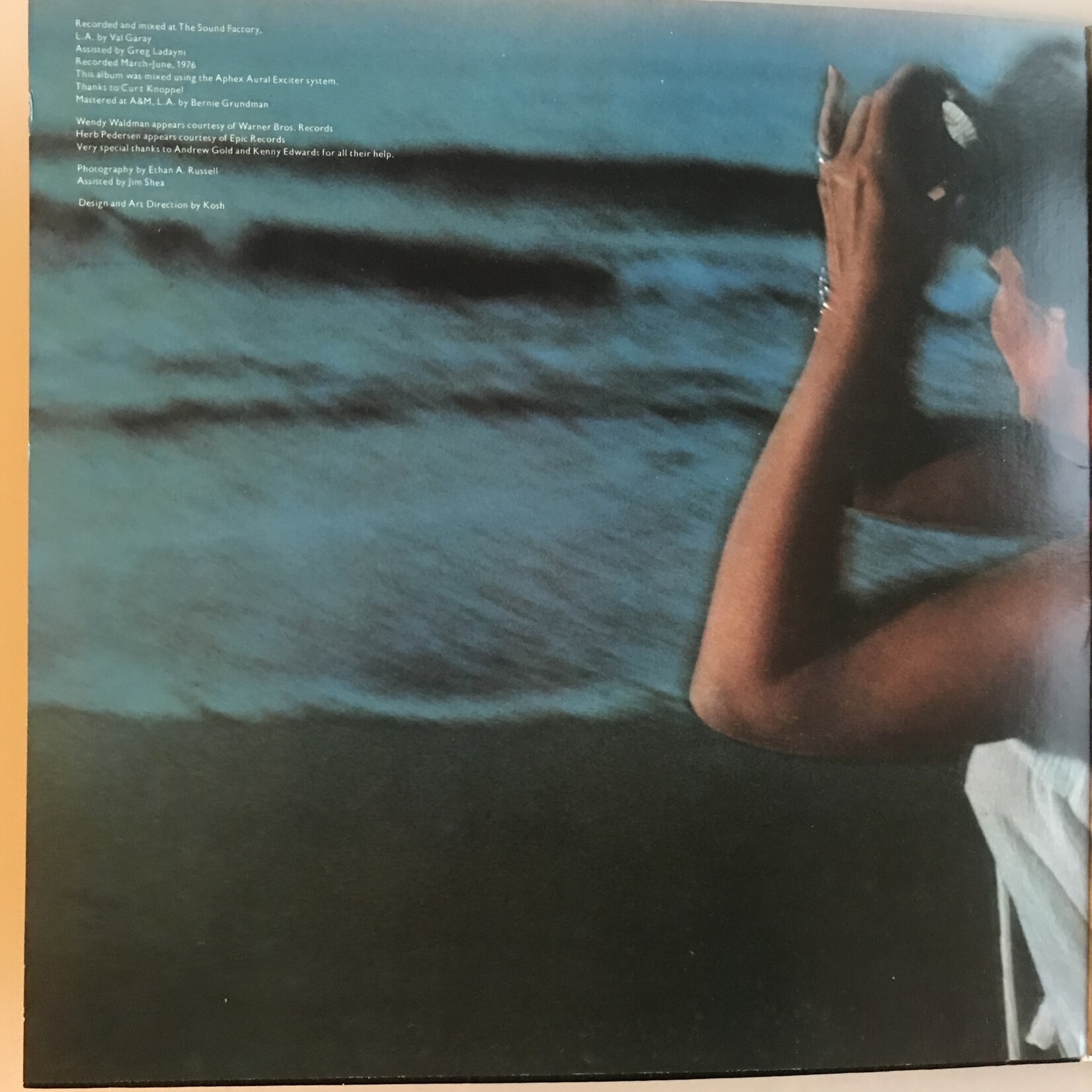 Linda Ronstadt - Hasten Down The Wind - Vinyl LP (USED)
