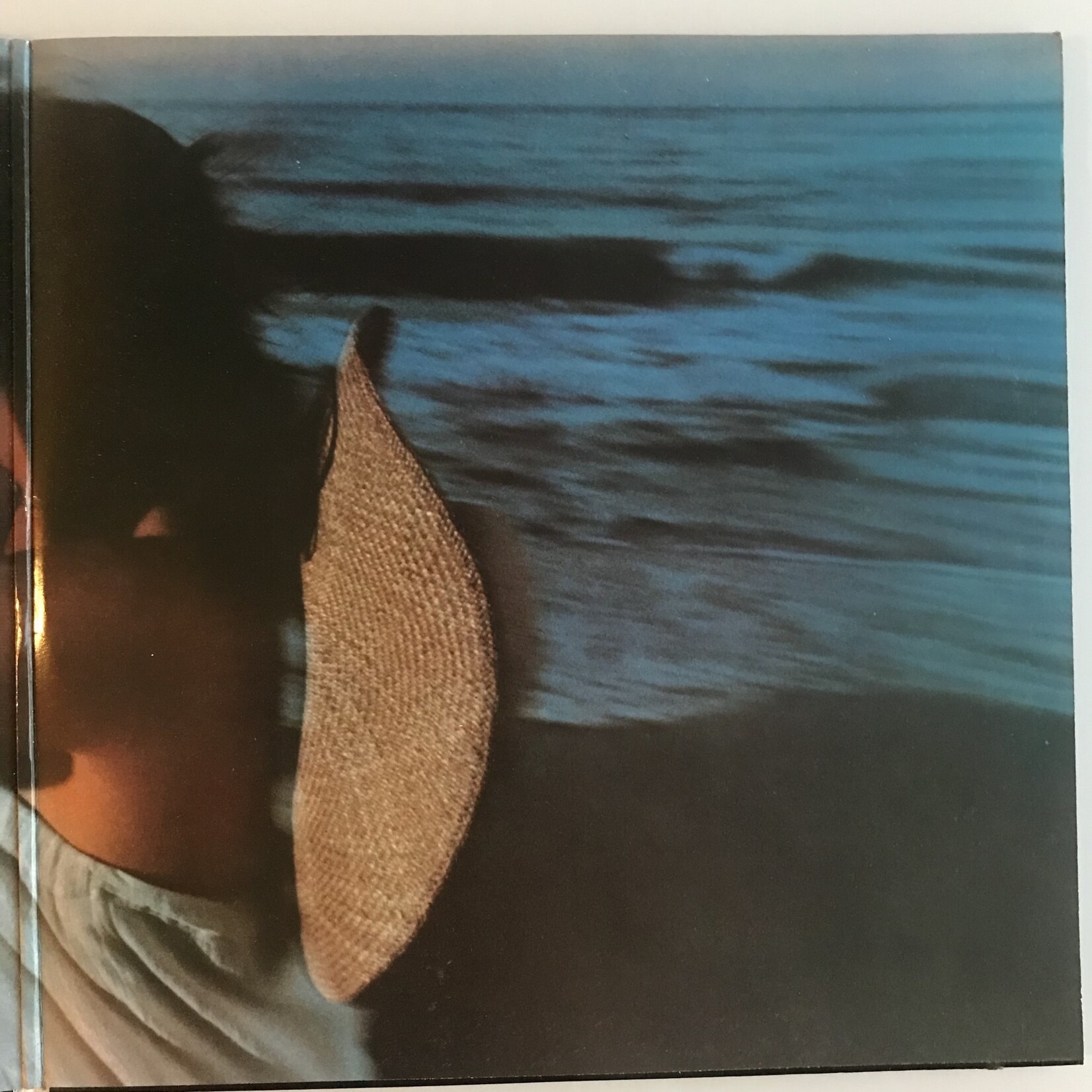 Linda Ronstadt - Hasten Down The Wind - Vinyl LP (USED)