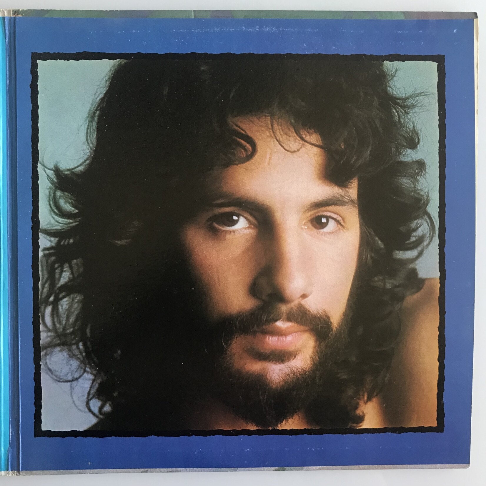 Cat Stevens - Teaser And The Firecat - Vinyl LP (USED)