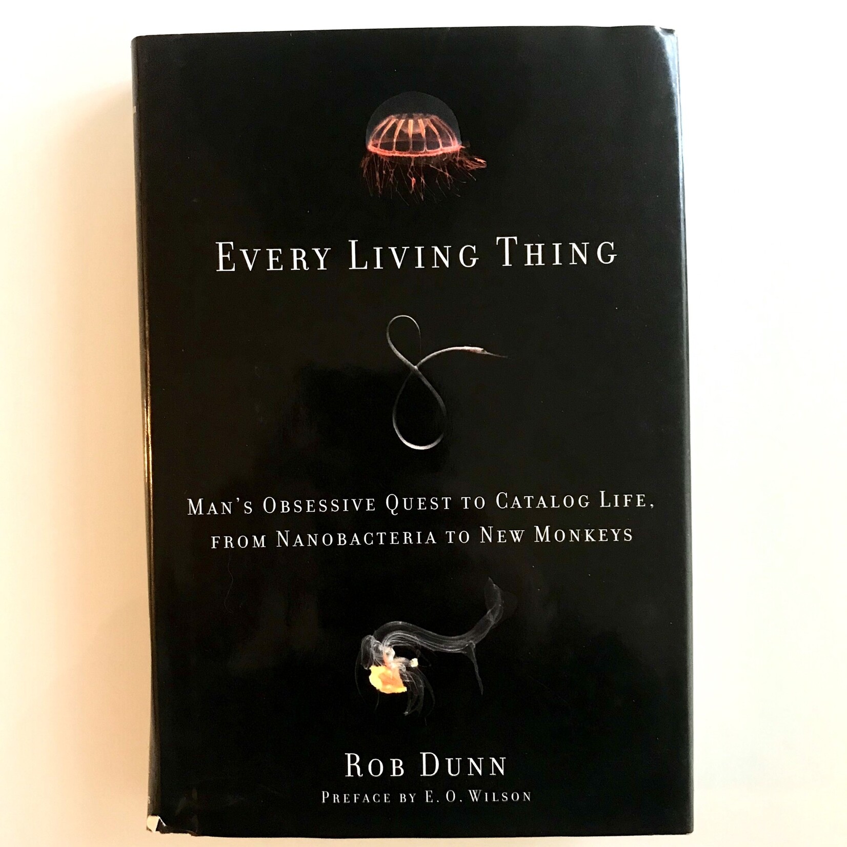 Rob Dunn - Every Little Thing - Hardback (USED)