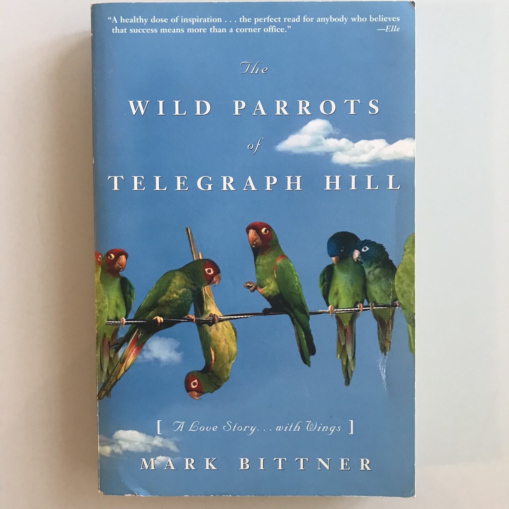 Mark Bittner - The Wild Parrots Of Telegraph Hill - Paperback (USED)